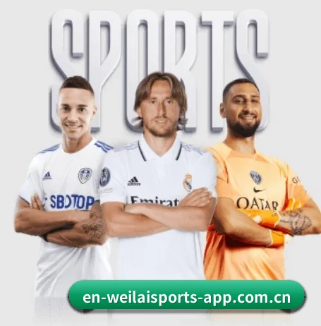 从比分速递到赛后复盘的完整链路（WL SPORTS）